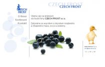 Czech Frost