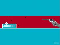 Adomus &ndash; flash video