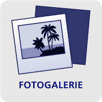 fotogalerie active