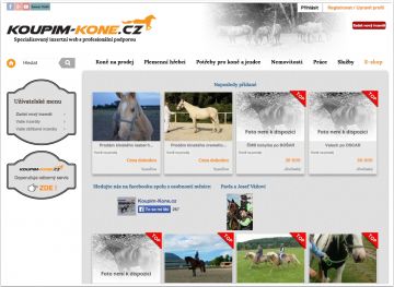 koupim-kone.cz – tvorba inzertních stránek