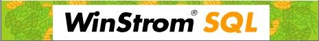 WinStrom – top banner