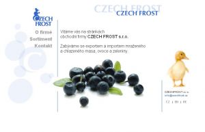 Z historie tvorby webu Czech Frost