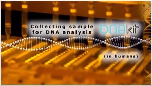 DNA kit - prezentační a instruktážní video